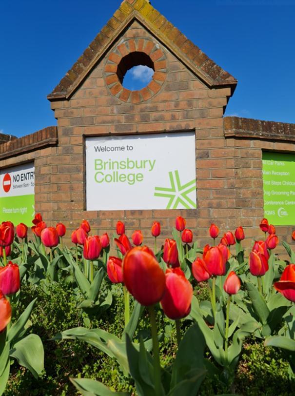 Bramley Guest Aparthotel Pulborough